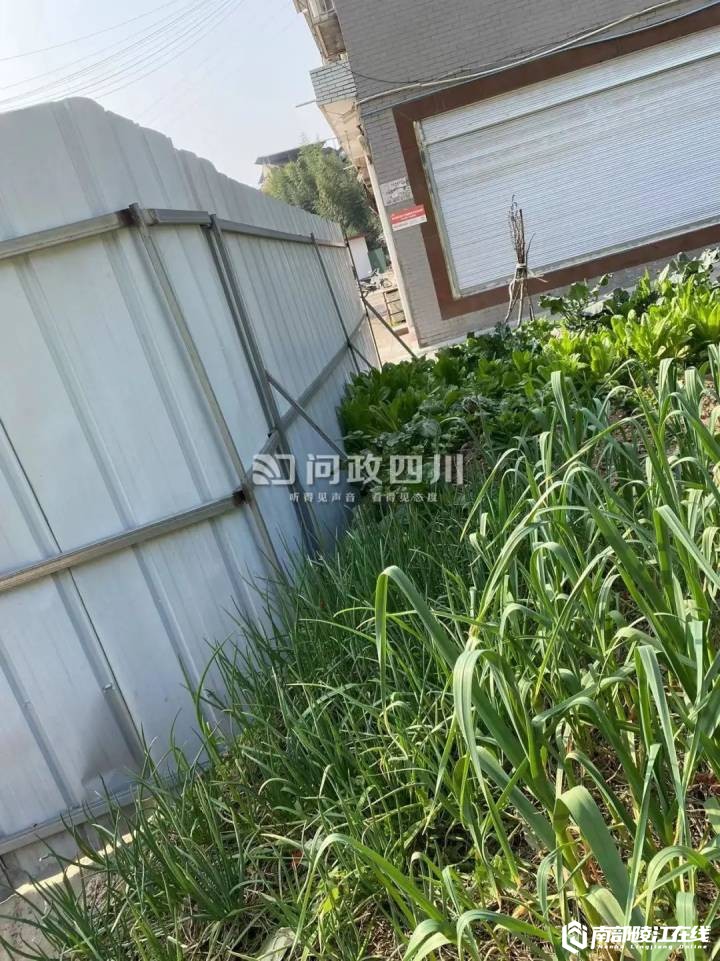 南部茶馆-南部陵江在线南部县建兴镇充电桩造假？南部陵江在线(4)